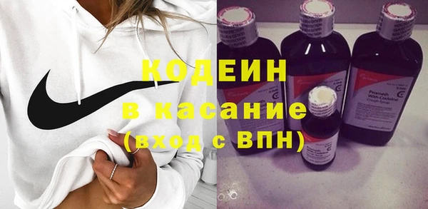 прущие грибы Арсеньев