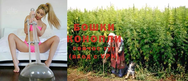 прущие грибы Арсеньев